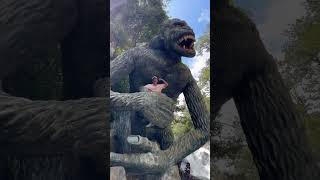 This is a MUST do when in DA LAT 🇻🇳 #dalat #shortsvideo #shorts