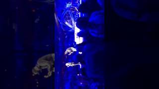 Martina McBride-Walk Away Joe