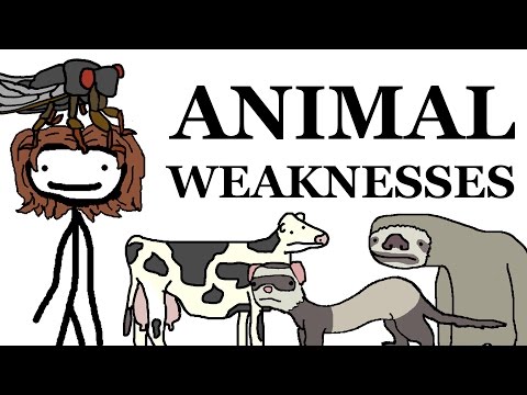 Animal Weaknesses