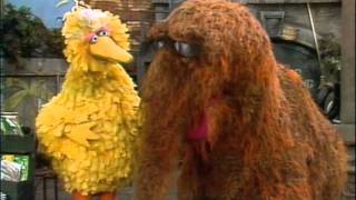Sesame Street - Snuffy fails to be seen