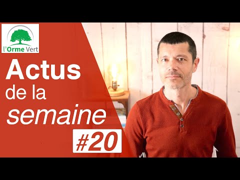 ACTUS #20 du 17-10-2023 - Combinaisons Alimentaires, Livre Régime Cétogène, Brèves