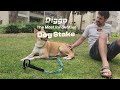 NAKKOO Floor element Diggo Dog Stake