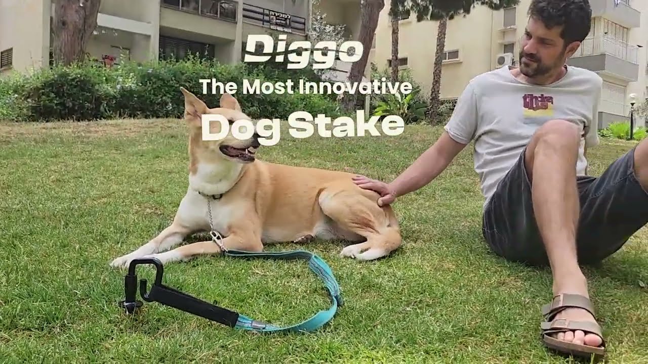 NAKKOO Floor element Diggo Dog Stake