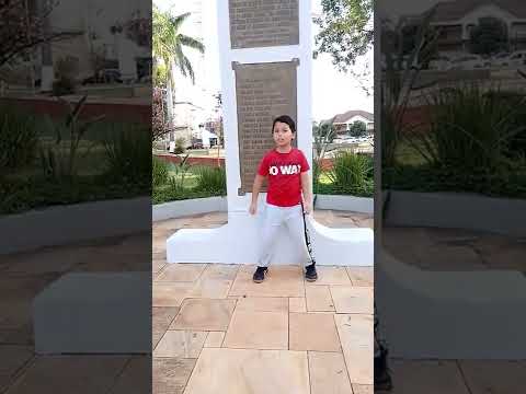 Pras novinhas #shorts #irmaosvhelo #viralshorts #dancas #shortsvideo