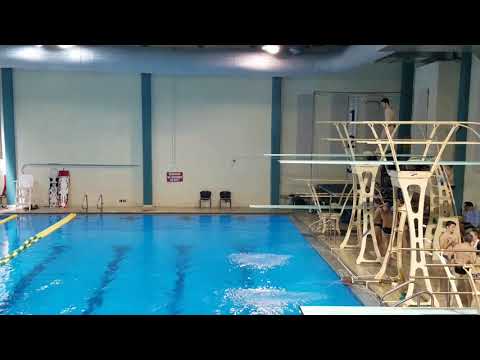 2017 UNCW Men's 3m - Dive 6 105B