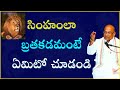 See What It Means To Live Like A Lion Garikipati Narasimha Rao Best Speeches Dharmam Dharma