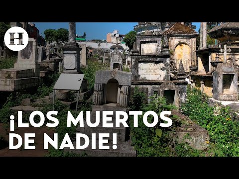 ¿Cómo funciona la fosa común? Esto pasa con los cuerpos sin identificar y que nadie reclama