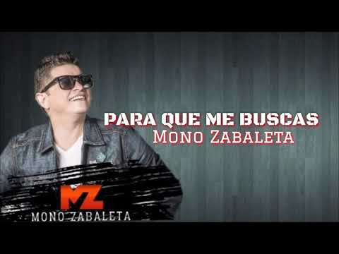 Para que me buscas (letra) mono Zabaleta