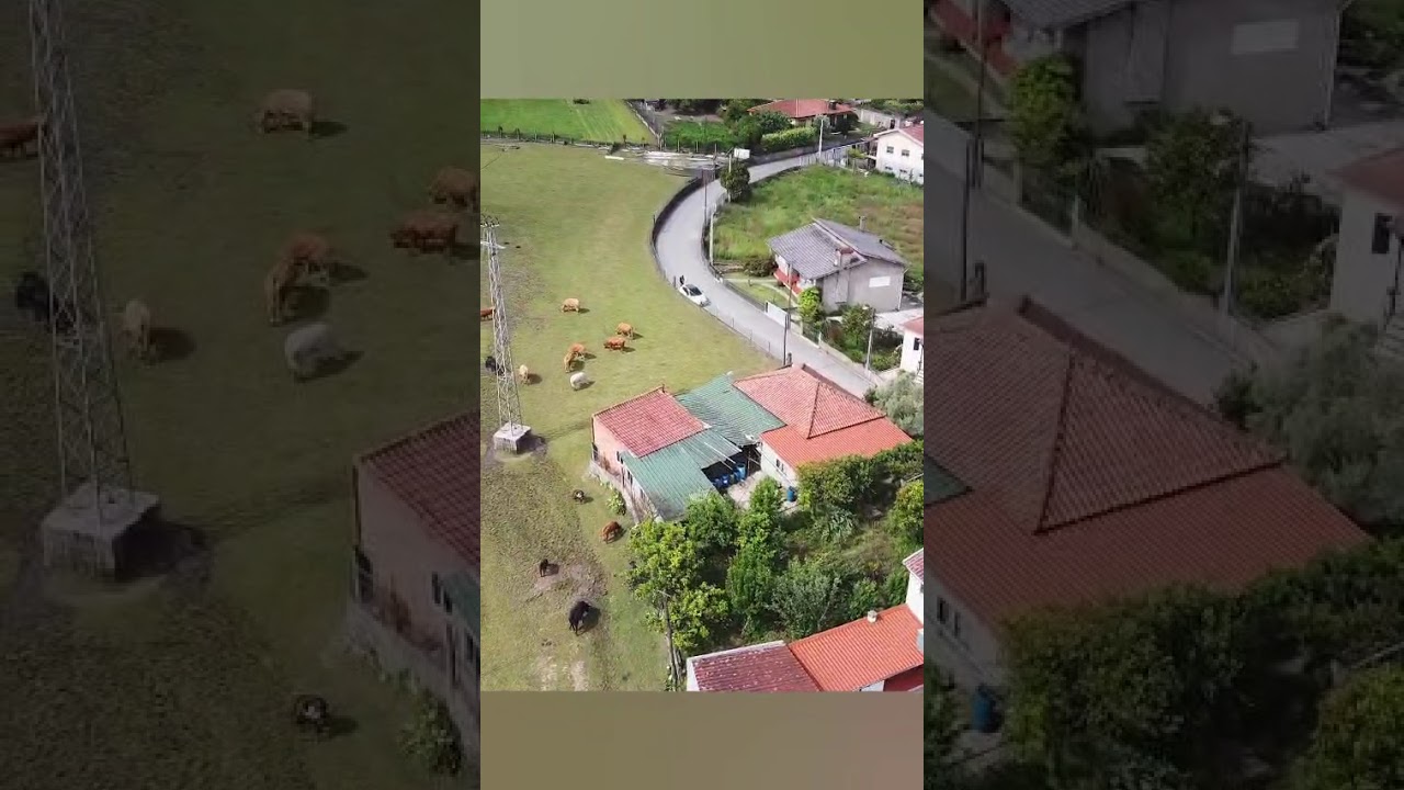 Vídeo do imóvel
