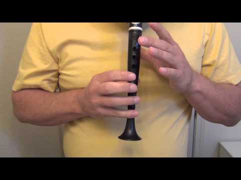 Ode to Joy (Beethoven's 9th Symphony) Flutophone, Recorder