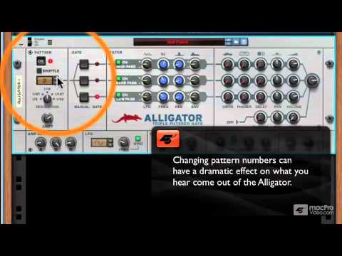 Reason 6 205: Alligator - 3 Pattern Section