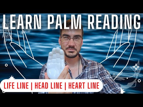 How To Read Palm Lines 🔮Palmistry Beginners Guide | A Palm Reading Introduction