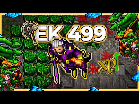 EK 499 Hunt Solo Deeper Banuta 2.9kk/h Raw + 400k Profit - Tibia Hunt [13.17] #tibia #tibiahunt