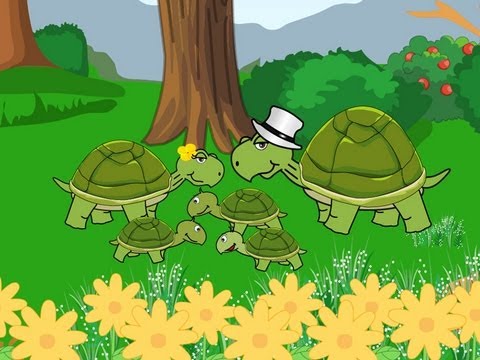 La famille Tortue