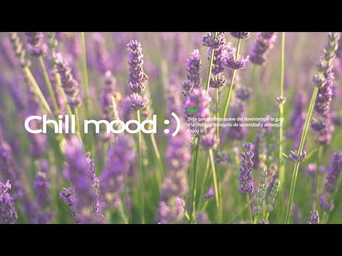 Downtempo Zen #008 - Melodies for the Mind | 🛋️ Focus mix session