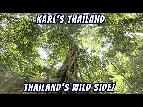 Why Khao Yai Should be on Every Thailand Travel Bucket List!