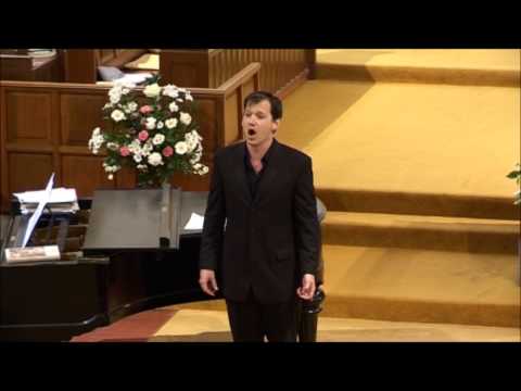 Gwynfyd by Meirion Williams