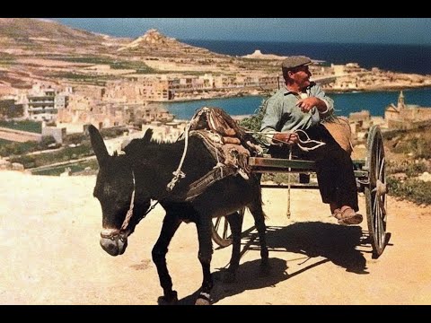 Malta: Kif Qatt Ma Rajtek