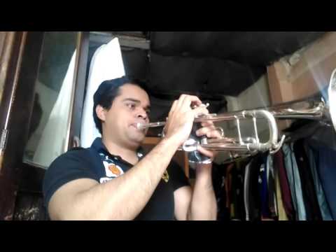 Ciega sordomuda-shakira trompeta intro