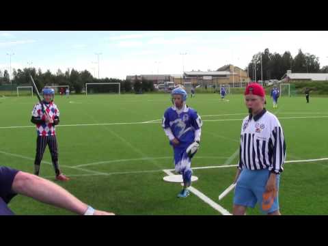 2016-07-03 Roihu valkoinen - Napa Pesis D