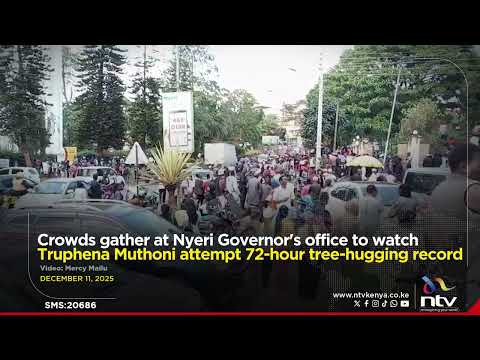 Crowds gather in Nyeri to watch Truphena Muthoni attempt 72-hour tree-hugging record