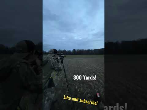 300 Yards with a 243 on the first try I’ll take it any day!