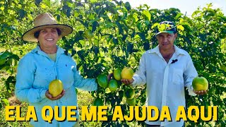 ELES COLHEM 120 TONELADAS DE MARACUJÁ EM 1,7 ALQUEIRE