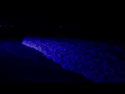 Fall Asleep with Powerful Waves at Night on Museddu Beach  - Ocean Sounds for Deep Sleeping