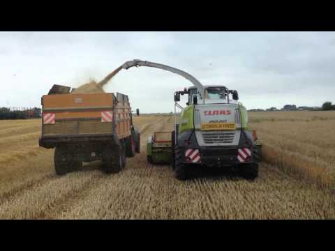 Vergauwe K&P: Graan Hakselen 2015