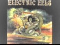 Electric Eels(USA) - Black Leather .wmv