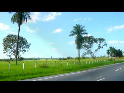 Dos Apureños Completos (Contrapunteo) - Nelsón Morales y Antonio Castillo