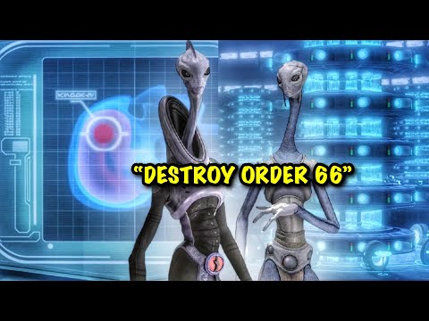 What If The Kaminoans Secretly DELETED Order 66 Before Revenge Of The Sith