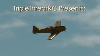 preview picture of video 'Warbirds Over Whatcom - Sights and Sounds'