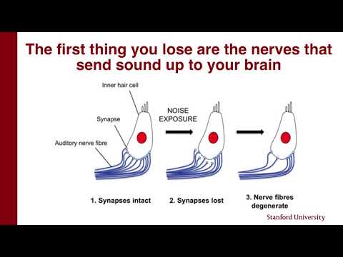Listen and learn: the latest in hearing science