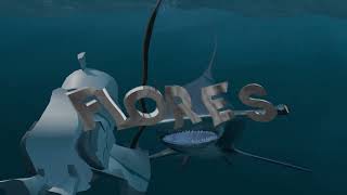 Abertura para @floresdzn