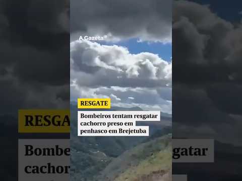 Bombeiros tentam resgatar cachorro preso em penhasco em Brejetuba #shorts #noticias