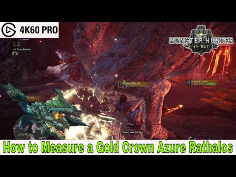 Monster Hunter: World - How to Measure a Gold Crown Azure Rathalos Video