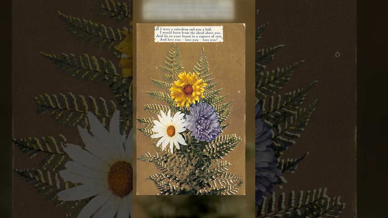 New Year Series No. 36, Divided Back, Floral Bouquet, 1913 Postmark Video