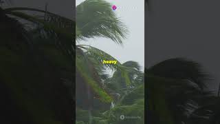 ⚡️Tropical Storm Sara Threatens Florida⚡️- #TropicalStormSara #FloridaWeather #MAGA