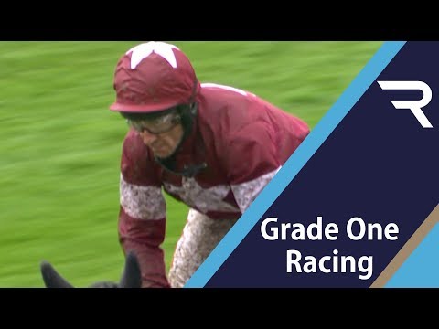 2019 Dooley Insurance Group Champion Novice Chase - Racing TV