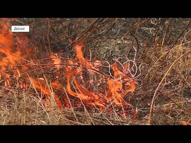 В Приангарье началась подготовка к пожароопасному сезону