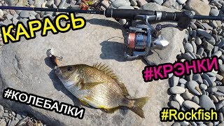 Когда ловить карася на черном море