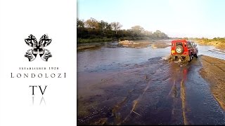 preview picture of video 'A Love Affair with Land Rover - Londolozi TV'