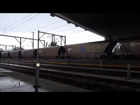 Triple XRN's with an empty transfer coalie - 16/12/15