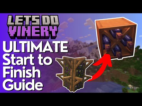 The Ultimate Guide to Lets Do Vinery
