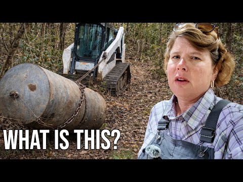 Finally Pulled It Out of the Woods, & I’m More Confused Than Ever?