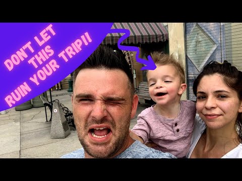 image-Is Universal Studios appropriate for a 2 year old?