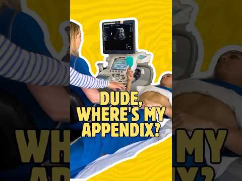 Learn How to Follow Along Next Time You Get Your Appendix Ultrasounded #ultrasound #appendix #howto