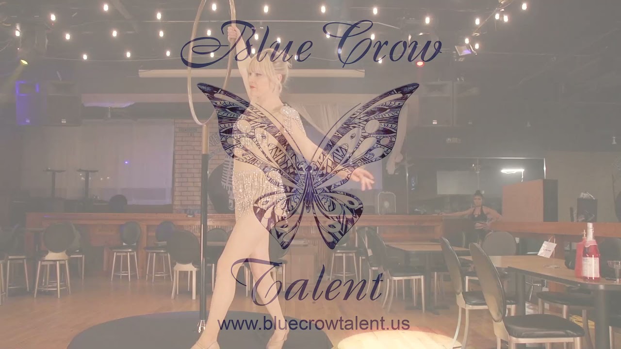 Promotional video thumbnail 1 for Blue Crow Talent