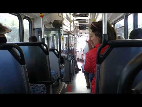 Keolis Downer Northern Beaches Volvo B12BLE (1883, CB60 Evo II, Voith): 199 inbound (Video 1/2)